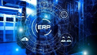 ERP and Business Processes